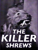 Illustration for article titled Where To Get Your Quick And Dirty Horror Movies - Free Online